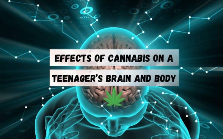 Effects-of-Cannabis-on-a-Teenage