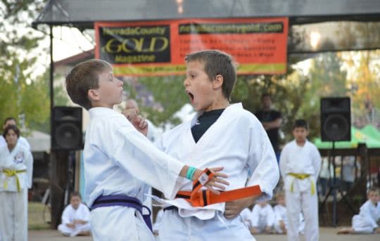 Grass Valley Kenpo Family Karate Studio for Teens
