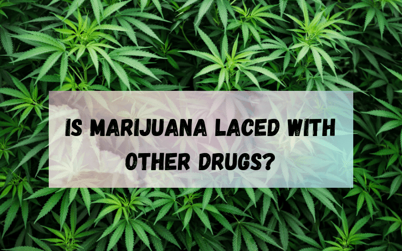 Is-Marijuana-Laced-With-Other-Drugs