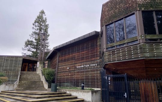 Roseville Public Library for Teens