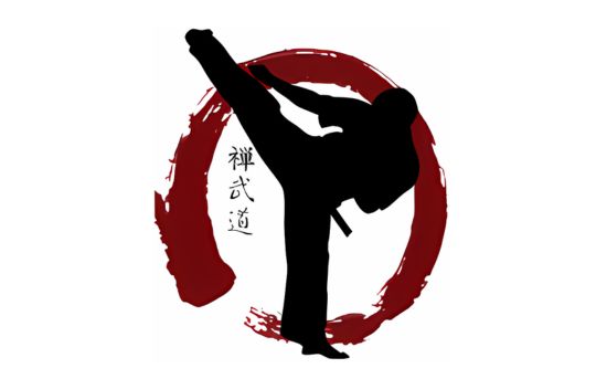 Zen Martial Arts Studio for Teens in Sacramento